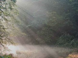 IMGP8655-Morgensolstraaler-over-skovsoe